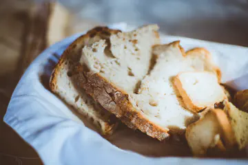 Can Cats Eat Bread