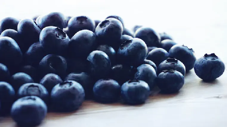 Can Dogs Eat Blueberries?